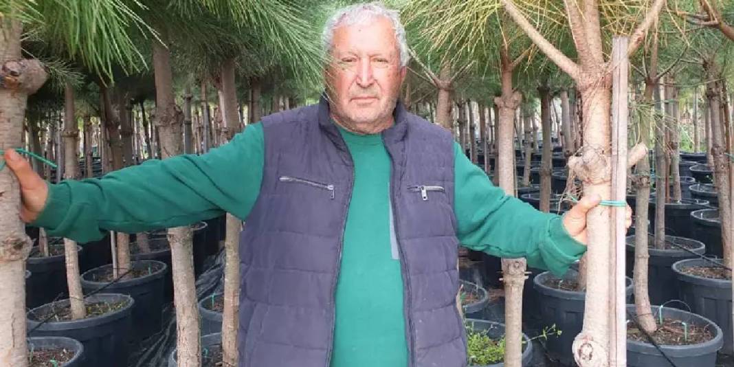 Memurluktan emekli oldu kendini fidanlara adadı: Tam 500 çeşidi sağlığına kavuşturdu 3